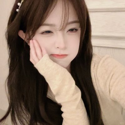 梅花档案